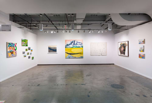 Dallas Art Fair 2024, Charis Ammon, David Aylsworth, JooYoung Choi, Jamal Cyrus, Francesca Fuchs, Loc Huynh, Toni LaSelle, Robyn O'Neil,...