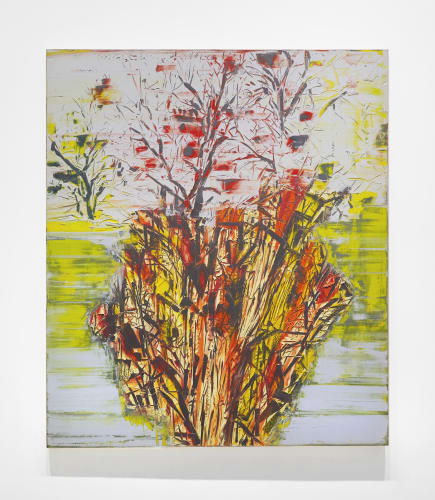 Gilad Efrat, Tamarisk Negev, 2014, oil on canvas, 73 x 63 inches