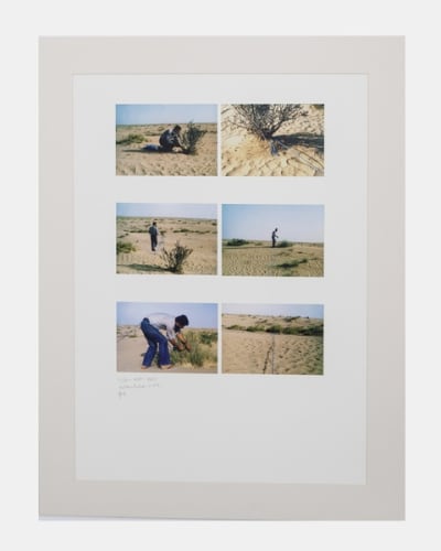 Musée d'art moderne et contemporain, Geneva