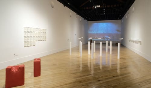 Manuela Ribadeneira . Objetos de Duda y de Certeza 2000-2019