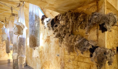 Daniel Lie . The Negative Years