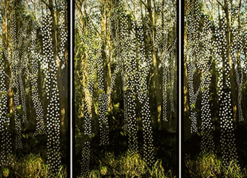 Albano Afonso . The Supernatural