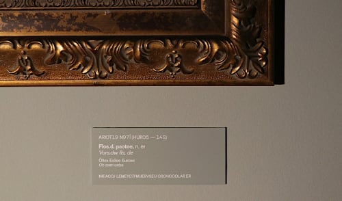 Tony Camargo . Isto não é um Nísio