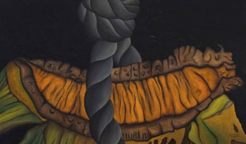 Antonio Henrique Amaral . Os Monstros de Babaloo