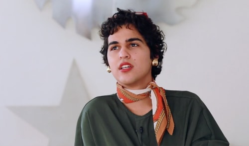 Lyz Parayzo . Artérias