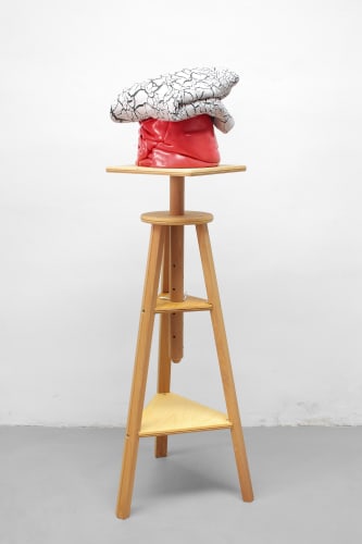 Guillermo Mora: STUDIOLO Una mirada a la Colección de Candela Álvarez Soldevilla