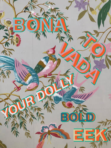 ASSUME VIVID ASTRO FOCUS: BONA TO VADA YOUR DOLLY BOLD EEK