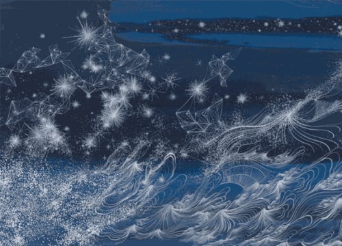 Sandra Cinto . Melody to the Stars