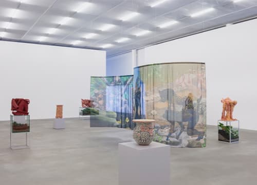 JULIANA CERQUEIRA LEITE . NOMINNATED TO 14TH PIPA PRIZE