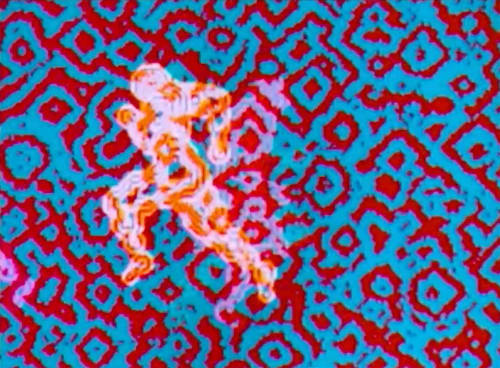 ASSUME VIVID ASTRO FOCUS . UNSELFING