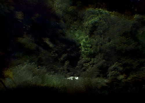 ALBANO AFONSO . FIGURAS NA PAISAGEM VISTAS DE DENTRO PARA FORA