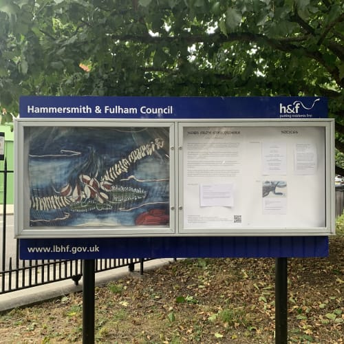 FERNANDA GALVÃO . NEWS EVERYWHERE