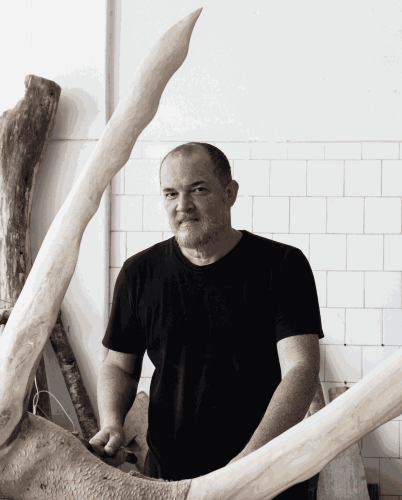 ZÉ CARLOS GARCIA . 14ª BIENAL DO MERCOSUL - ESTALO