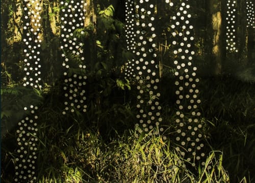 ALBANO AFONSO . THE SUPERNATURAL 2.0