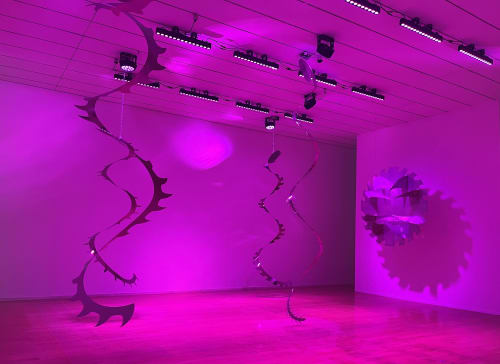 LYZ PARAYZO . AQUISIÇÃO INSTITUCIONAL