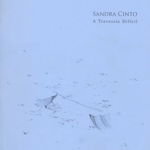 Sandra Cinto: A Travessia Difícil
