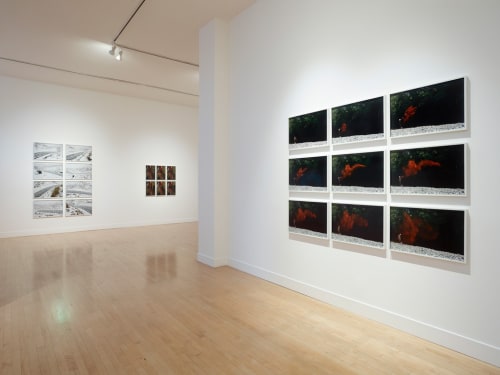 Andy Goldsworthy: Drawing Water Standing Still