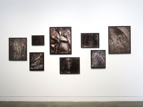 Linda Connor: Earth and Sky