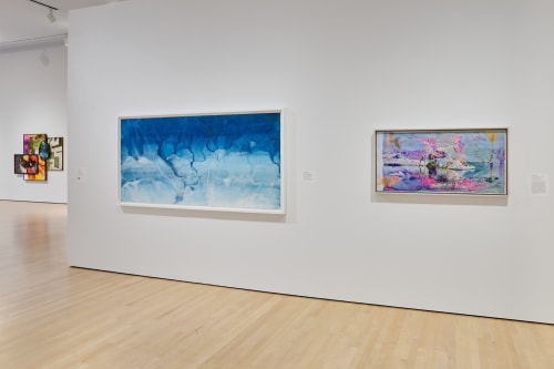 Installation view of Second Nature: Photography in the Age of the Anthropocene. Photo: Glen Cheriton, courtesy Cantor Arts Center, Stanford University