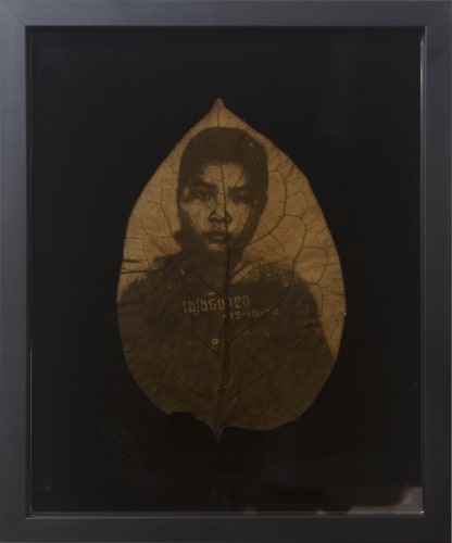 Binh Danh,The Botany of Tuol Sleng Genocide Museum # 1, 2008