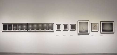 Installation view of The Pulse of Life at the 10th Daegu Photo Biennale. Photo courtesy Daegu Arts Center, Daegu, South Korea