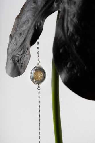 Tania Pérez Córdova, Colocasia Black Coral (detail shot), 2022. Image courtesy of the artist and Tina Kim Gallery.