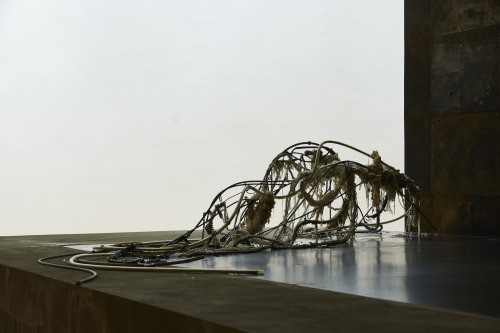 ”Horizontal Forms,” 2020, by Mire Lee.
