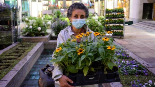 Ghada Amer: How Egyptian artist Ghada Amer has weaved an expression of feminism into her paintings