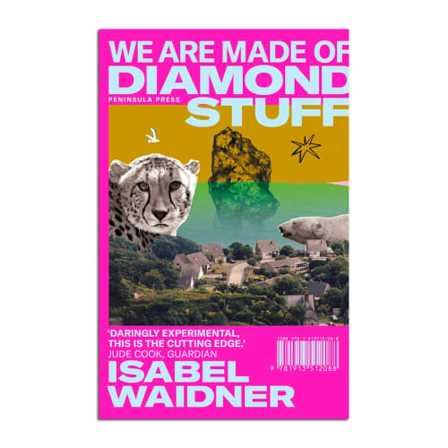 We Are Made of Diamond Stuff, Isabel Waidner £9.99