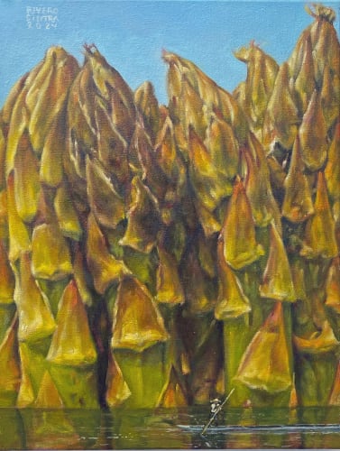 Invisible Territories, A group show of Colombian artists