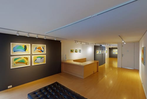 Shapes and Shades, Recent works by Santiago Uribe-Holguin, Exhibition Overview