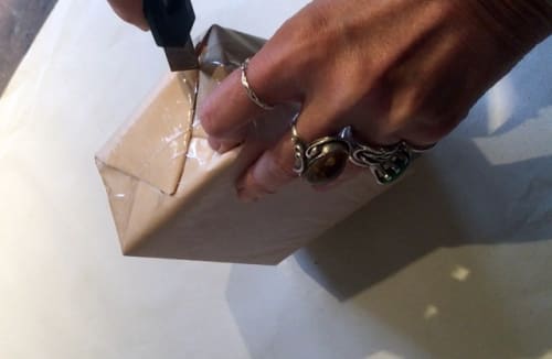 Open Space - February 2024, Ageing, hysteria, long Covid, global transient amnesia and brain fog