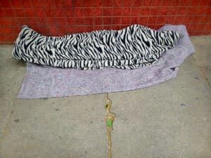 Street Book , First exhibition of writer, editor and photography curator Diógenes Moura.