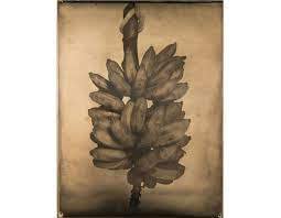 A Placa Mágica , A primeira exposição de Francisco Moreira da Costa em São Paulo, o único fotógrafo no Brasil...