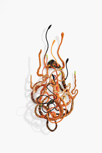 SHANE BROX, CONFINED SAVAGERY