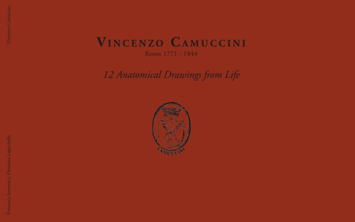 VINCENZO CAMUCCINI, 12 Anatomical Drawings from Life