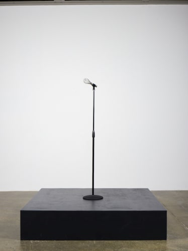 Testing I (Whisk), 2009 Microphone stand and whisk variable, approx 60 inches (152.4 centimeters) high