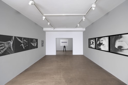 Anita Dube: The Devil in the Detail, D-53 Defence Colony, New Delhi