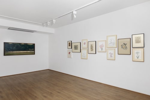 Held By The Land, D-40 Defence Colony, New Delhi