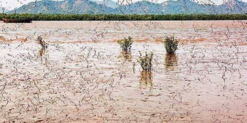 Finding hues of art and purpose in water works