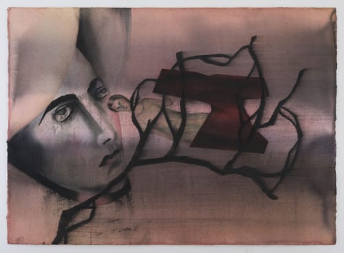 Anju Dodiya: ‘The creative process is a violent one’