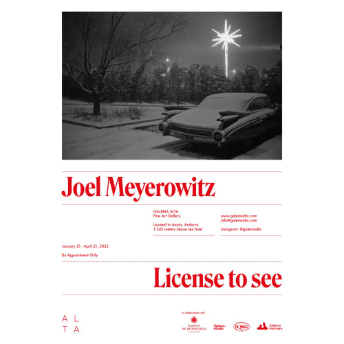 Joel Meyerowitz, License to see