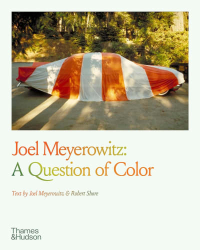 A Question of Color, Joel Meyerowitz
