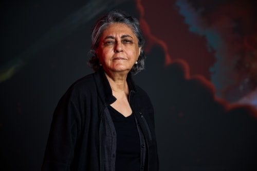 A brush with… Nalini Malani