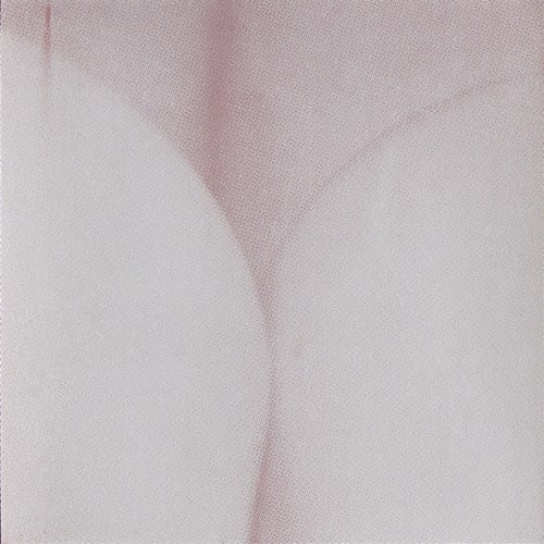 photograph of body parts silkscreened in color