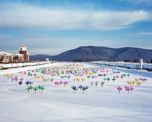 photograph of snow with colourful trees and a mounting in the background. 