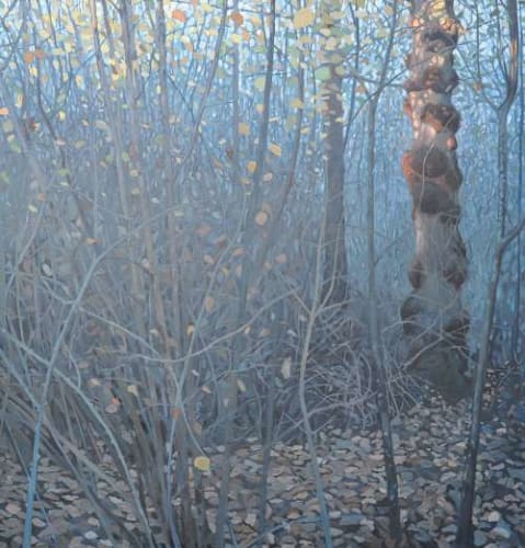 Grafton Oak oil on canvas