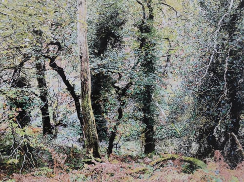 East Water Valley - Watercolour by Tim Craven