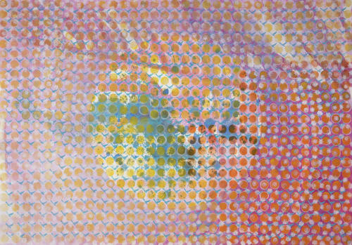 Patterned Land, By Wendy Sutherland