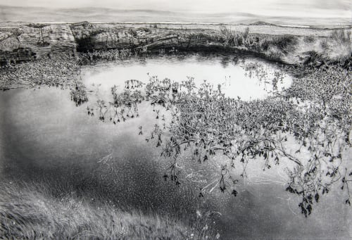 The Flows And The Flora, New Works By Magi Sinclair